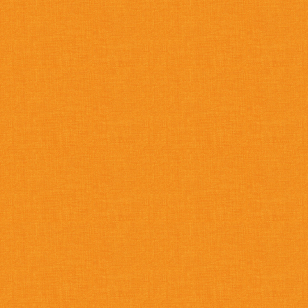 Apricot 1719595