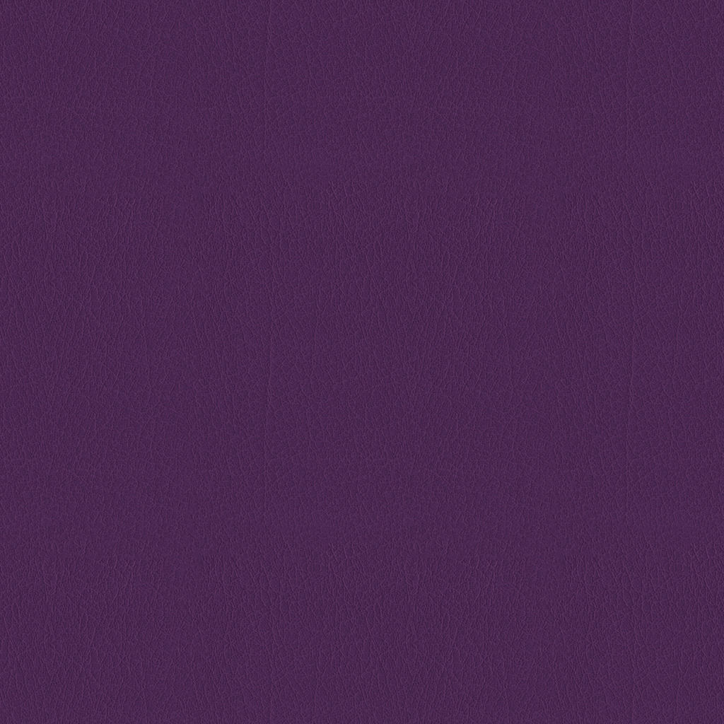 Amethyst 1646165
