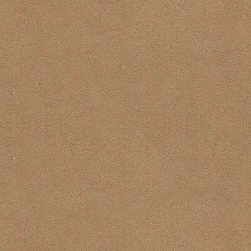 A351 Camel
