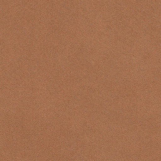 A484 Palm