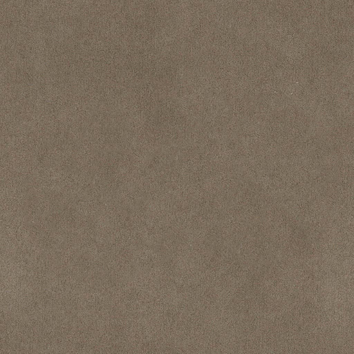A490 Terra