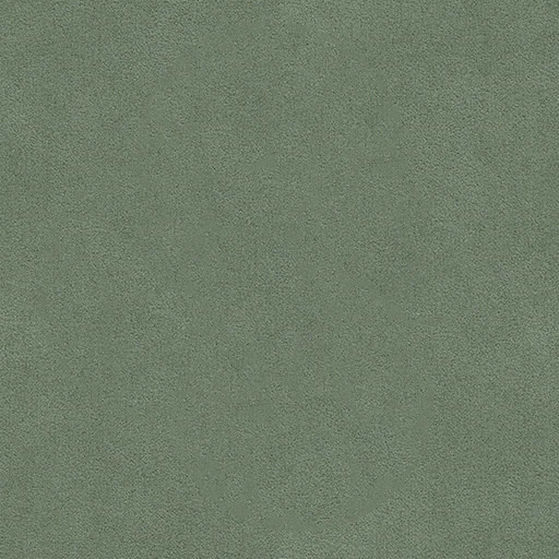 A570 Lizard