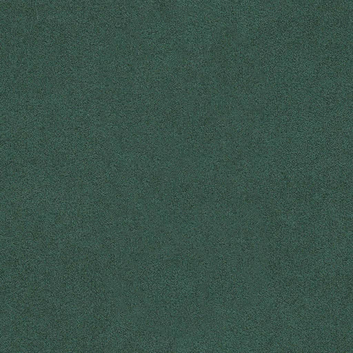A645 Lichen