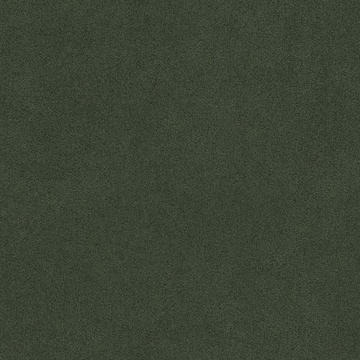 A647 Kiwi