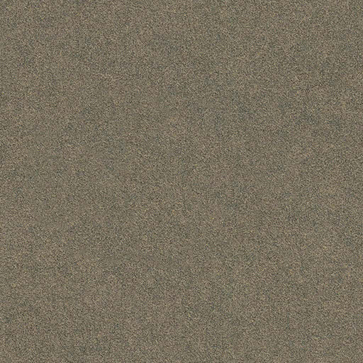 Ap21 Mocha
