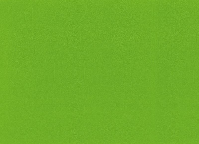 Apfel 1717261