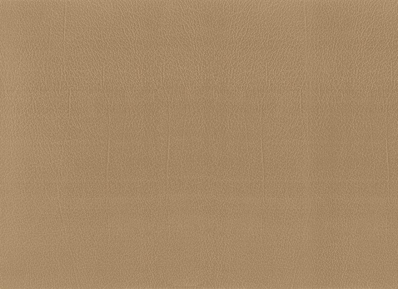 Beige 1717247