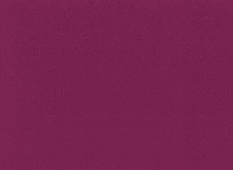 Berry 1717193