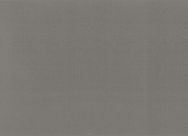 Grau 1717285