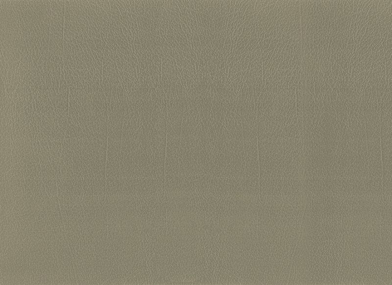 Laurel 1717131