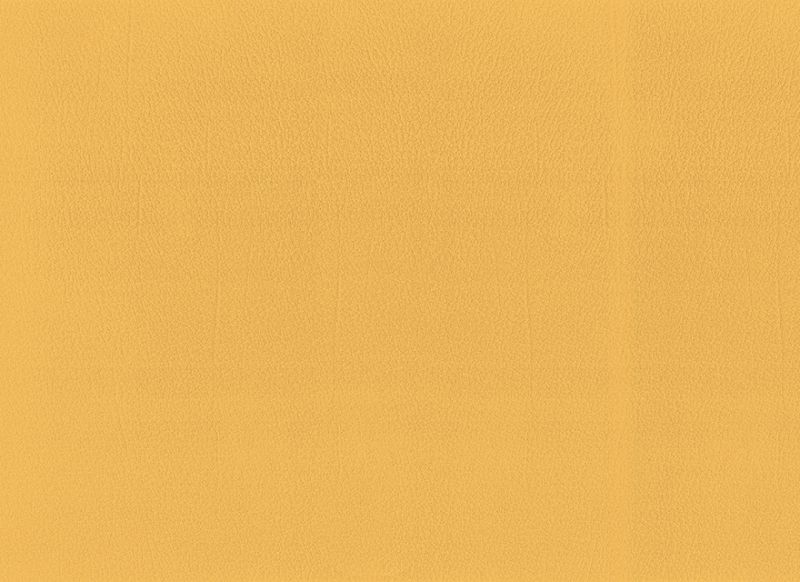 Marigold 1716800