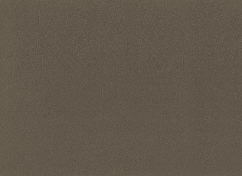 Moss 1717025