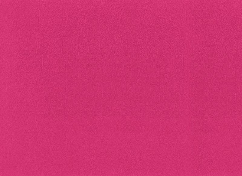 Pink 1716961