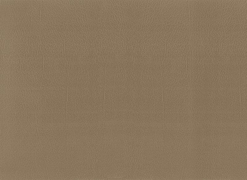 Taupe 1716893