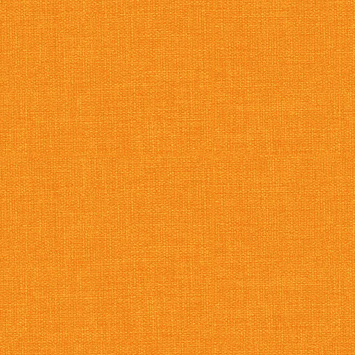 Apricot 1719595