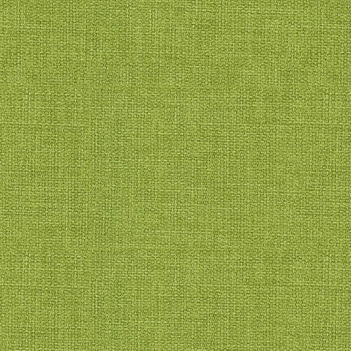 Foliage 1719830