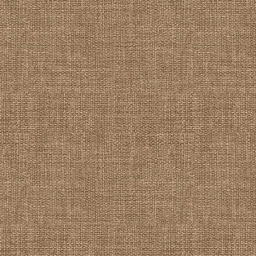 Macadamia 1719717