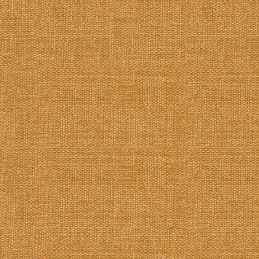 Marigold 1719847