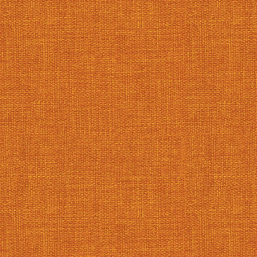 Tawny Orange 1719878