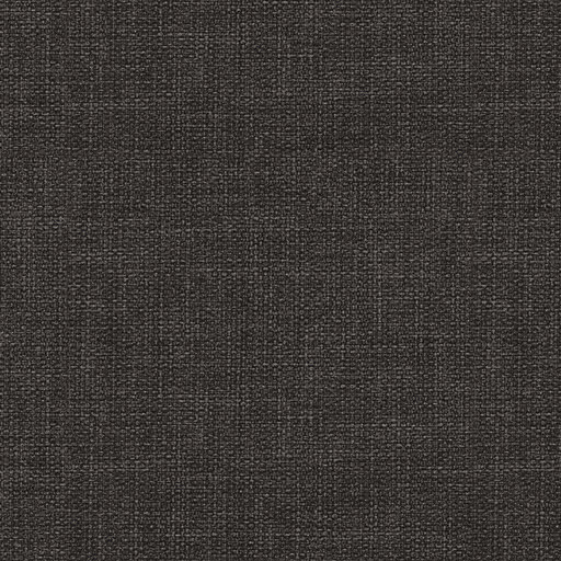 Volcanic Glass 1719809