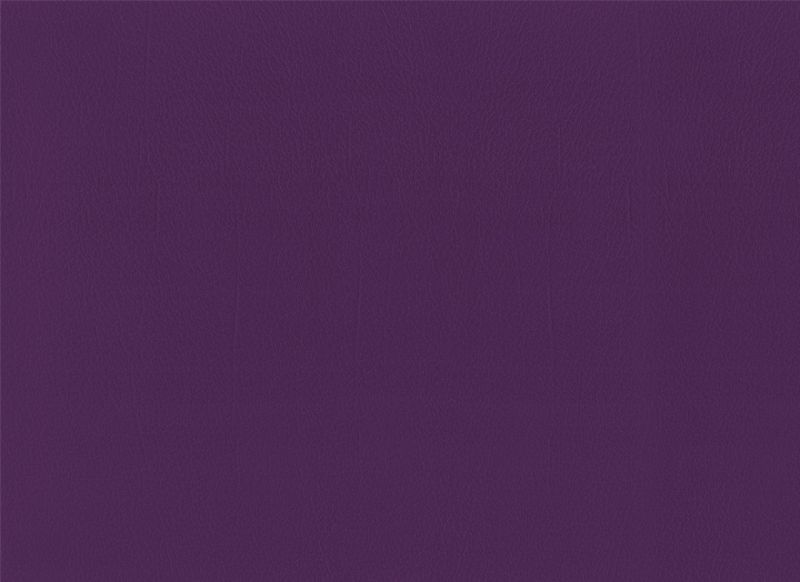 Amethyst 1646165