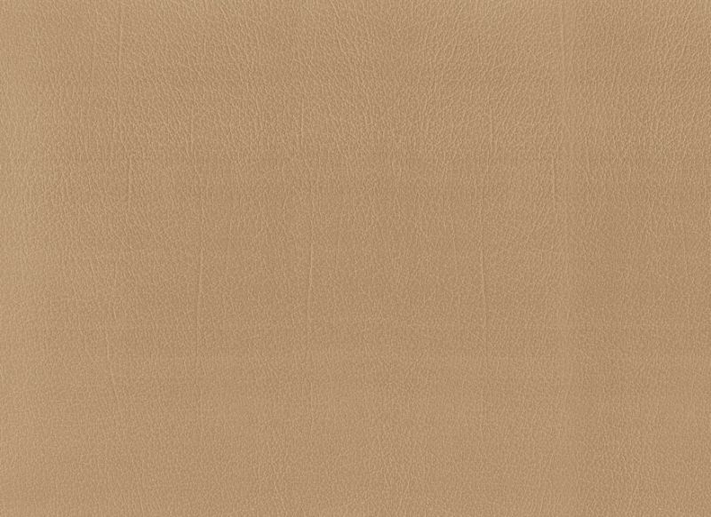 Beige 1641573