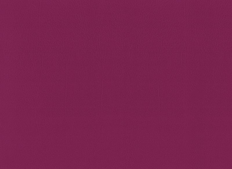 Berry 1645575