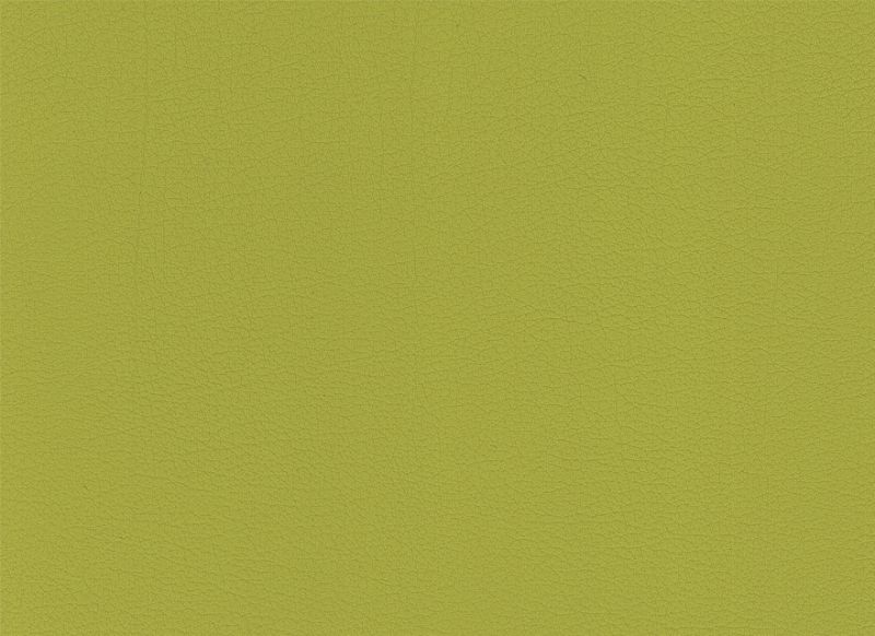 Limone 1663106