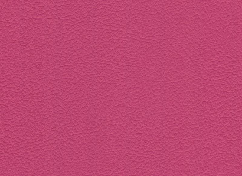 Pink 1645902