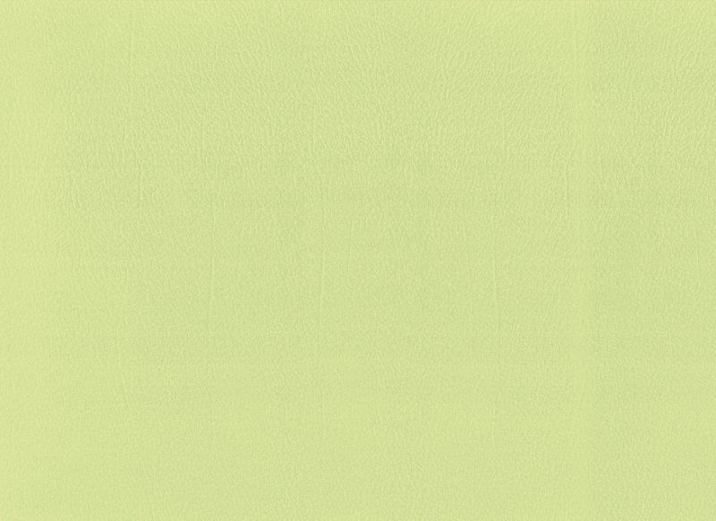 Pistazie 1646097