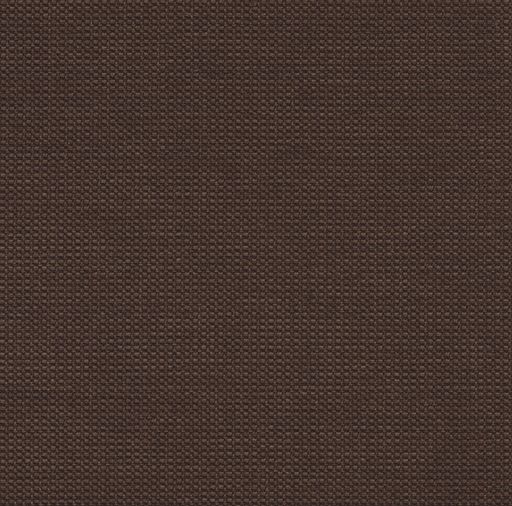 Mondo 341