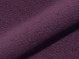 Aubergine 13
